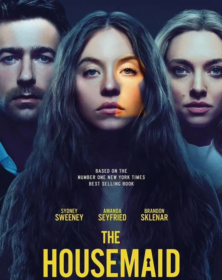 The Housemaid by Freida McFadden/Review and Summary