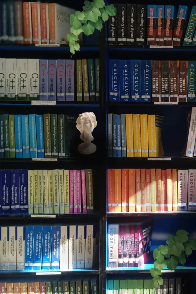 Bibliotecă mobilier negru, cărti ordonate pe culori si cartile sunt pe verticală cu statueta si plamte 
