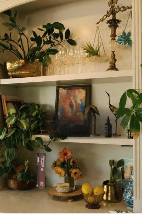 biblioteca cu plante si decorațiuni fara cărți
